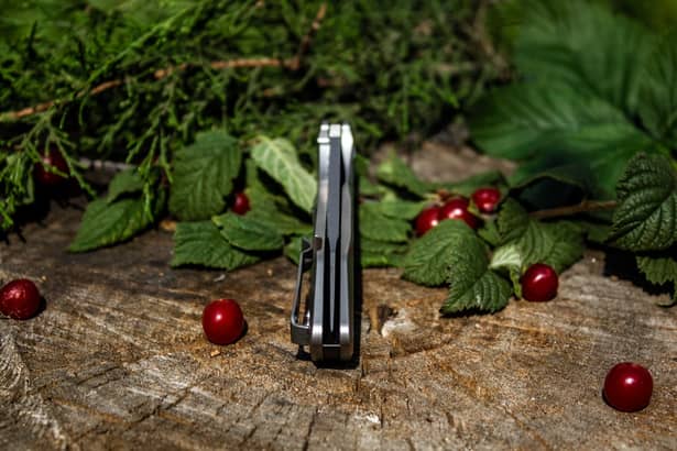 8 - Складной нож Ruike P135-SF