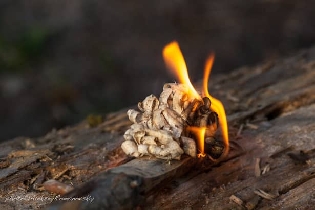 6 - Нож Ganzo G8012, черный