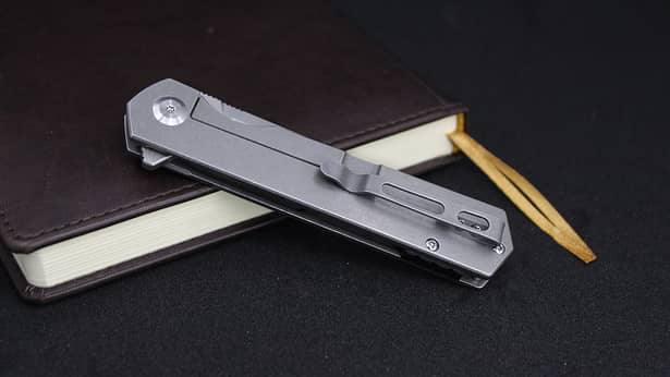 10 - Нож складной Ganzo Firebird FH12SS