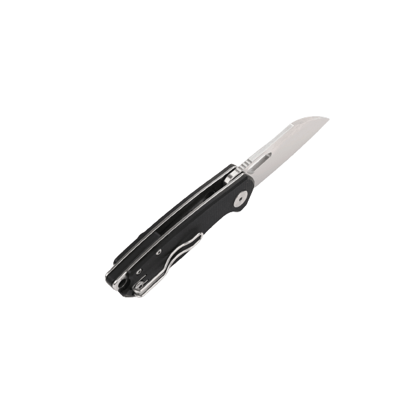 6 - Нож складной Ganzo Firebird FH924-BK черный