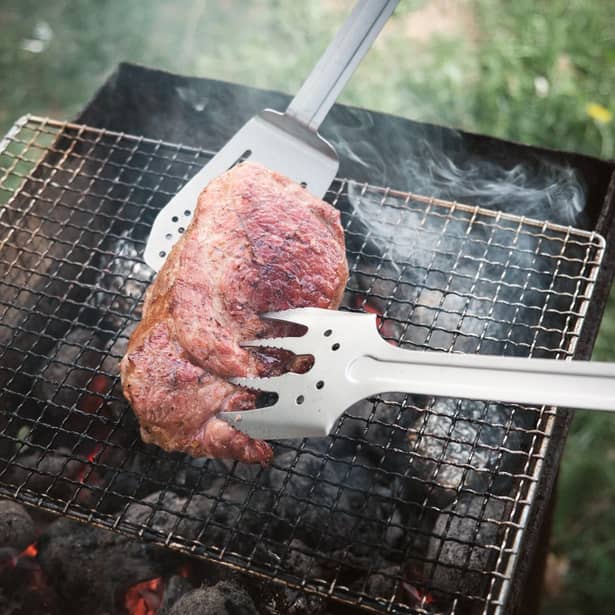 19 - Компактний набір для барбекю Roxon S601 металевий