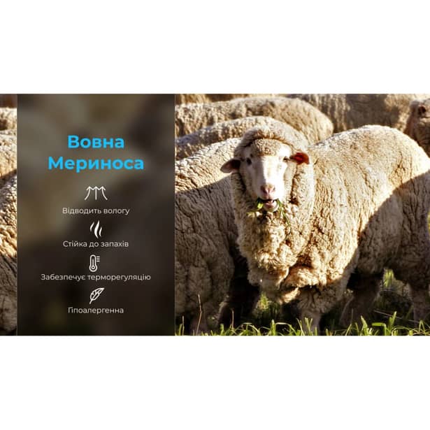 3 - Водонепроникні шкарпетки Dexshell Thermlite. Чорні з зеленою смужкою