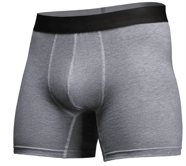 1 - Труси чоловічі JetBase подовжені. Сірий