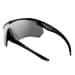 2 - Баллистические защитные очки ESS Crossbow One Black с линзой Smoke Gray